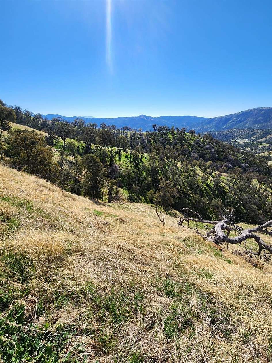 40 Acres of Land for Sale in Tollhouse, California