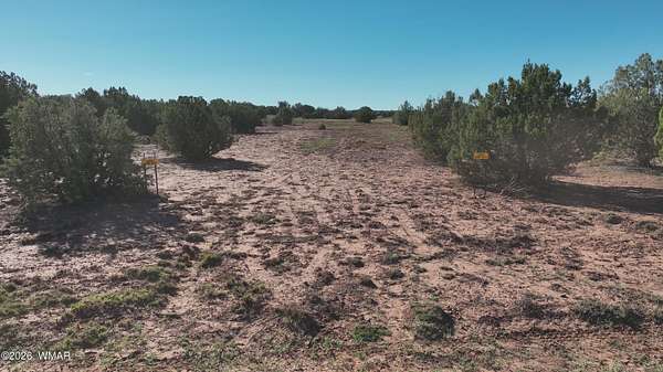 20 Acres of Recreational & Residential Land for Sale in Show Low, Arizona