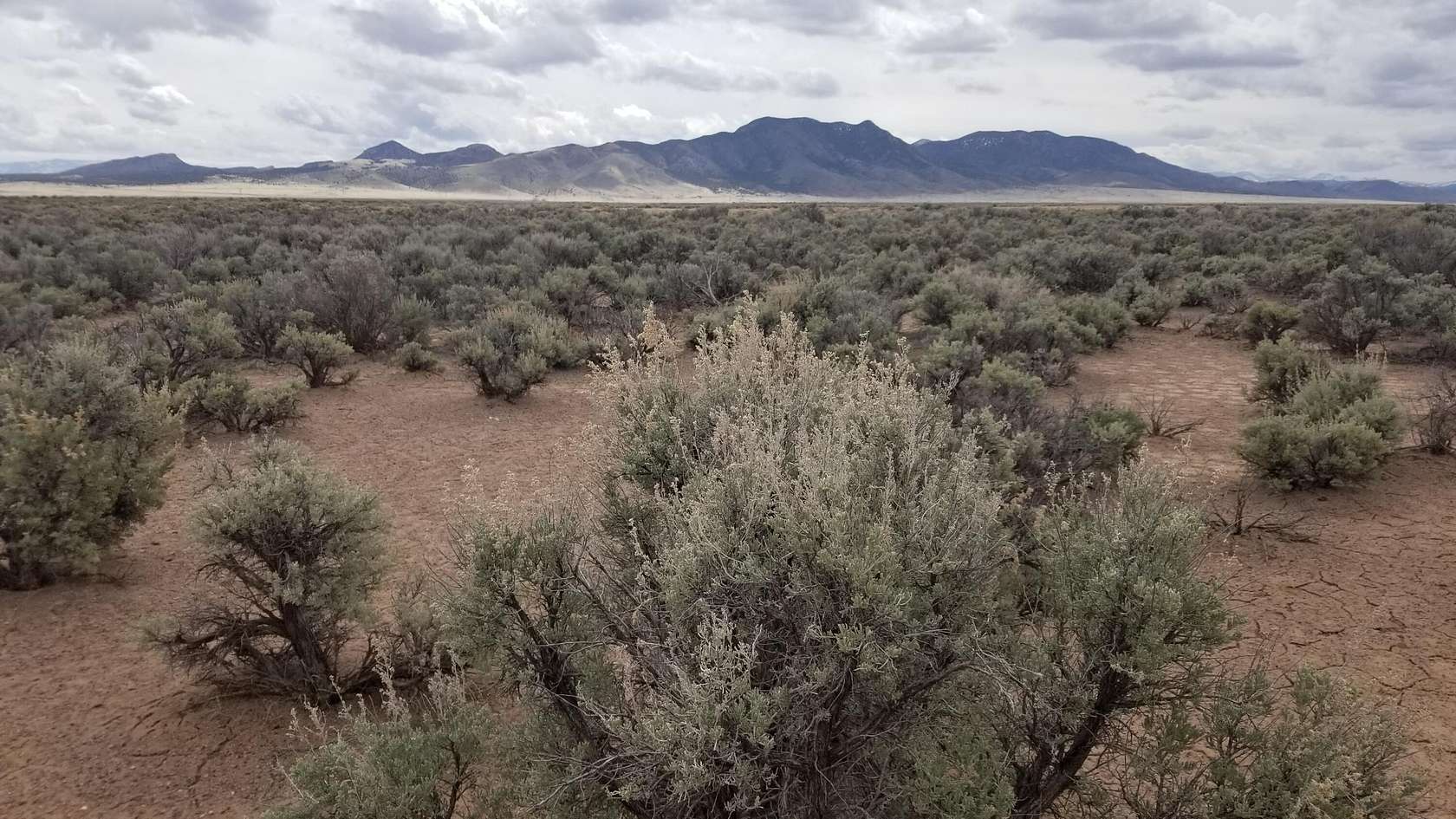 8.8 Acres of Residential Land for Sale in Beryl, Utah