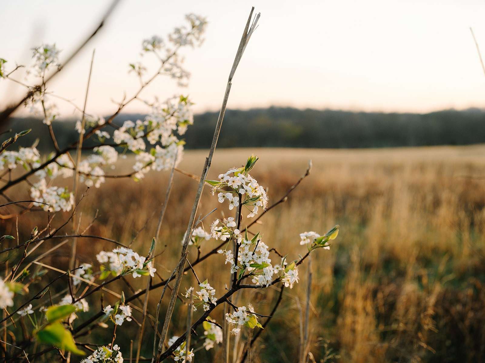 4.78 Acres of Land with Home for Sale in Columbia, Tennessee