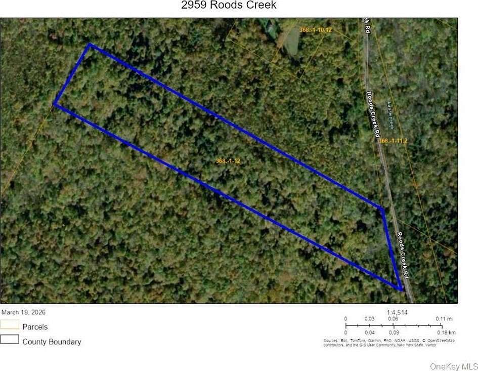 21.3 Acres of Recreational & Residential Land for Sale in Hancock, New York