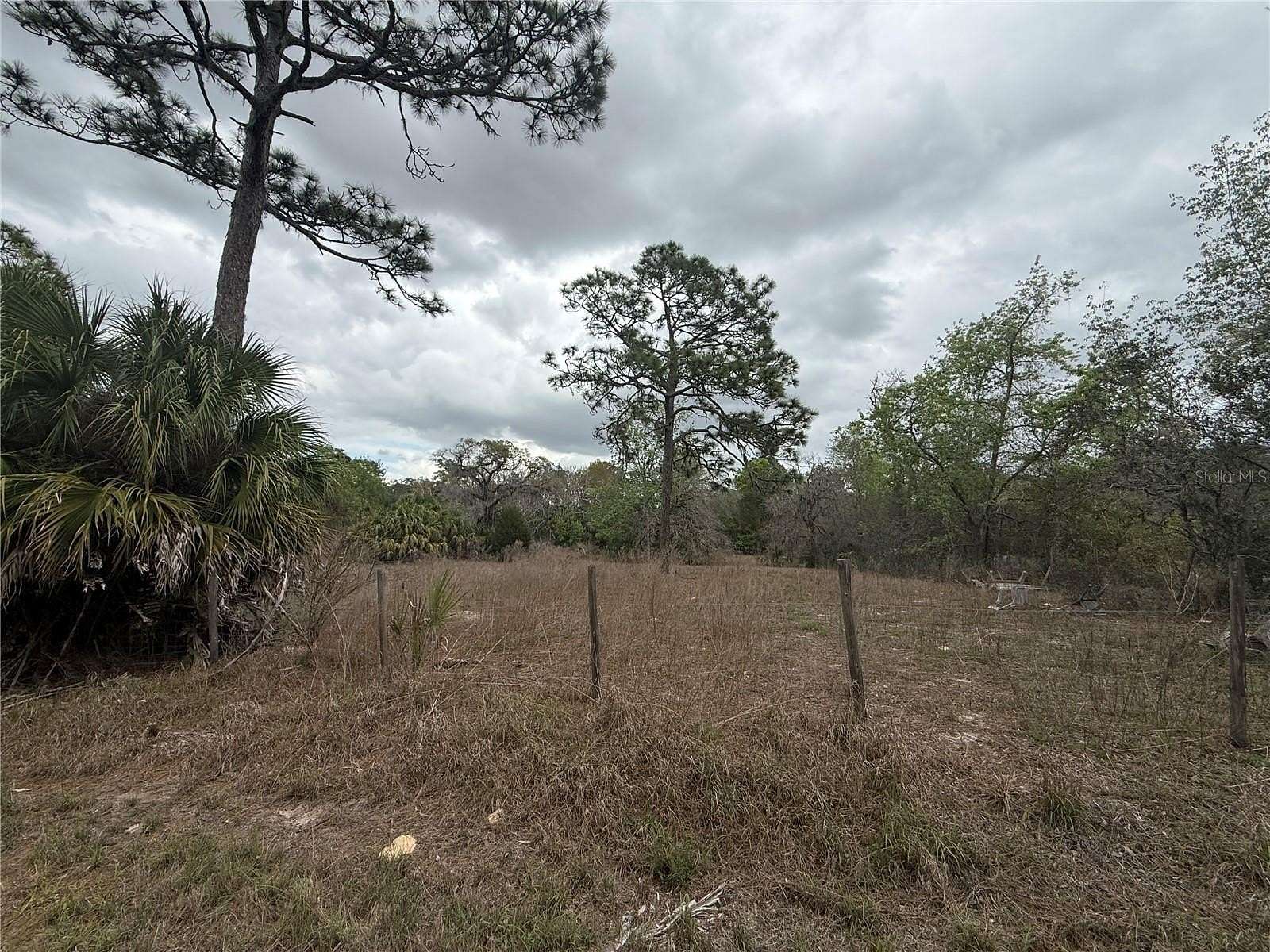 1.25 Acres of Residential Land for Sale in Spring Hill, Florida