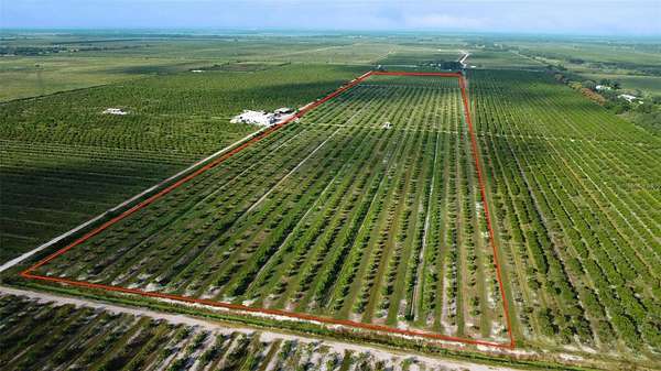 40 Acres of Agricultural Land for Sale in Arcadia, Florida