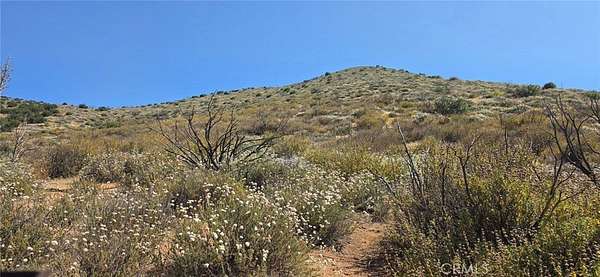 5 Acres of Residential Land for Sale in Agua Dulce, California