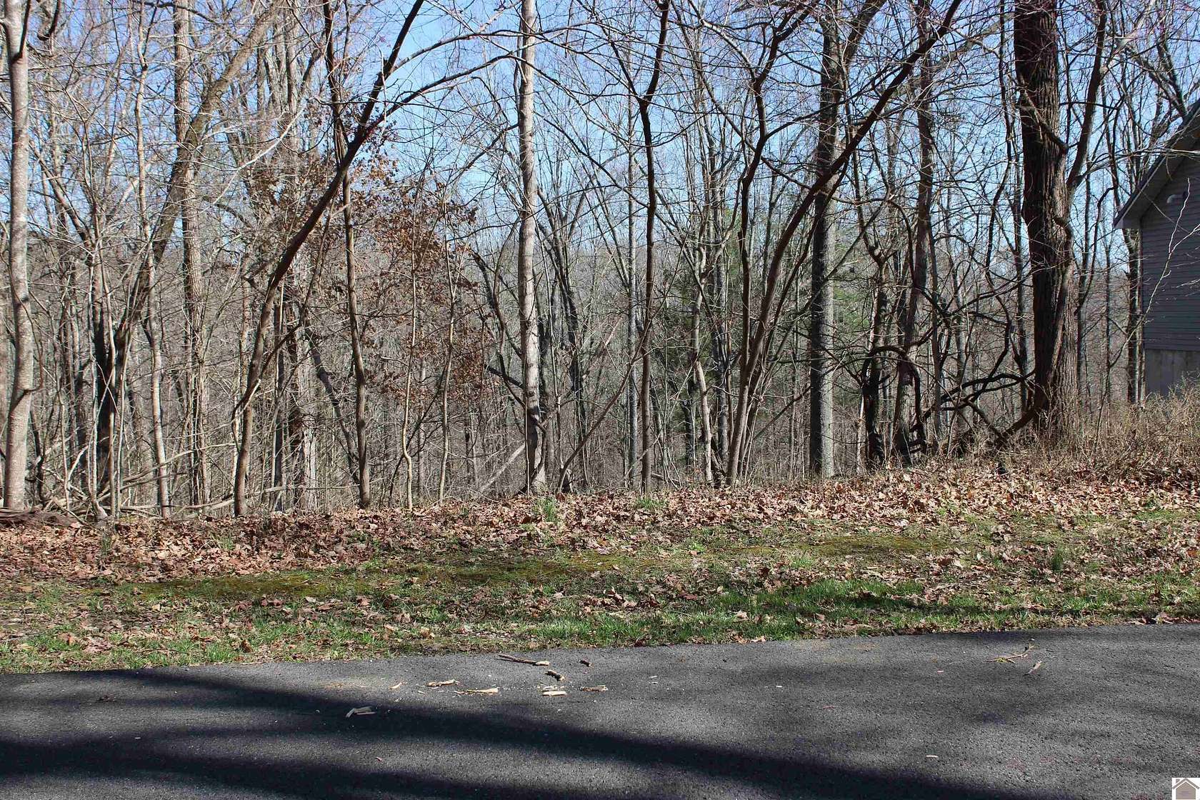 0.88 Acres of Residential Land for Sale in Eddyville, Kentucky