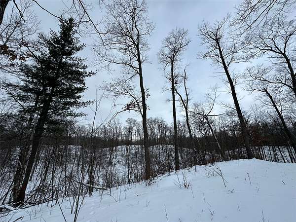 10 Acres of Recreational & Residential Land for Sale in Milltown, Wisconsin