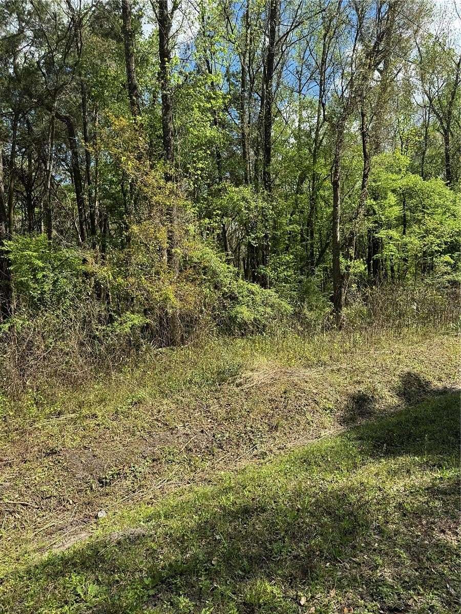 1.14 Acres of Land for Sale in Hastings, Florida