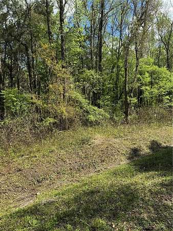 1.14 Acres of Land for Sale in Hastings, Florida