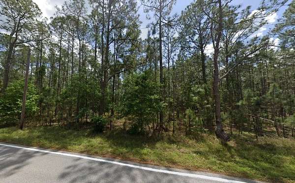 0.34 Acres of Residential Land for Sale in Polk City, Florida