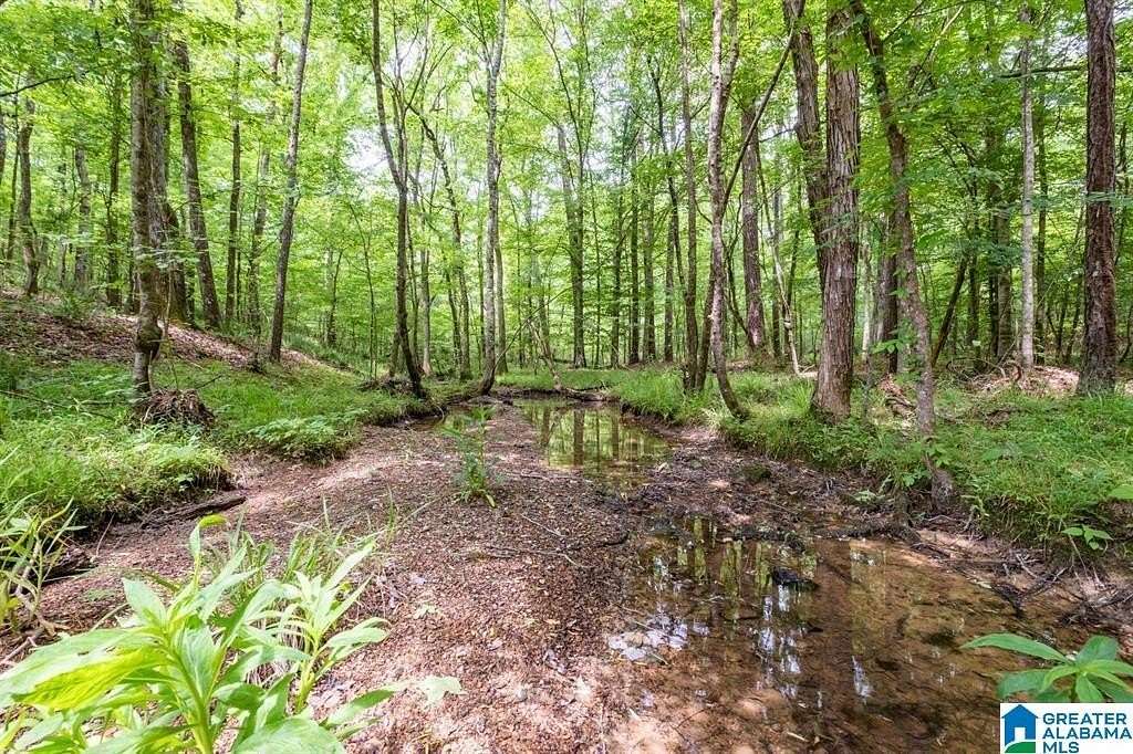 20 Acres of Land for Sale in Alabaster, Alabama