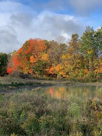 4.6 Acres of Residential Land for Sale in Hamilton, Michigan