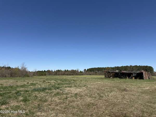 153 Acres of Recreational Land for Sale in Gatesville, North Carolina