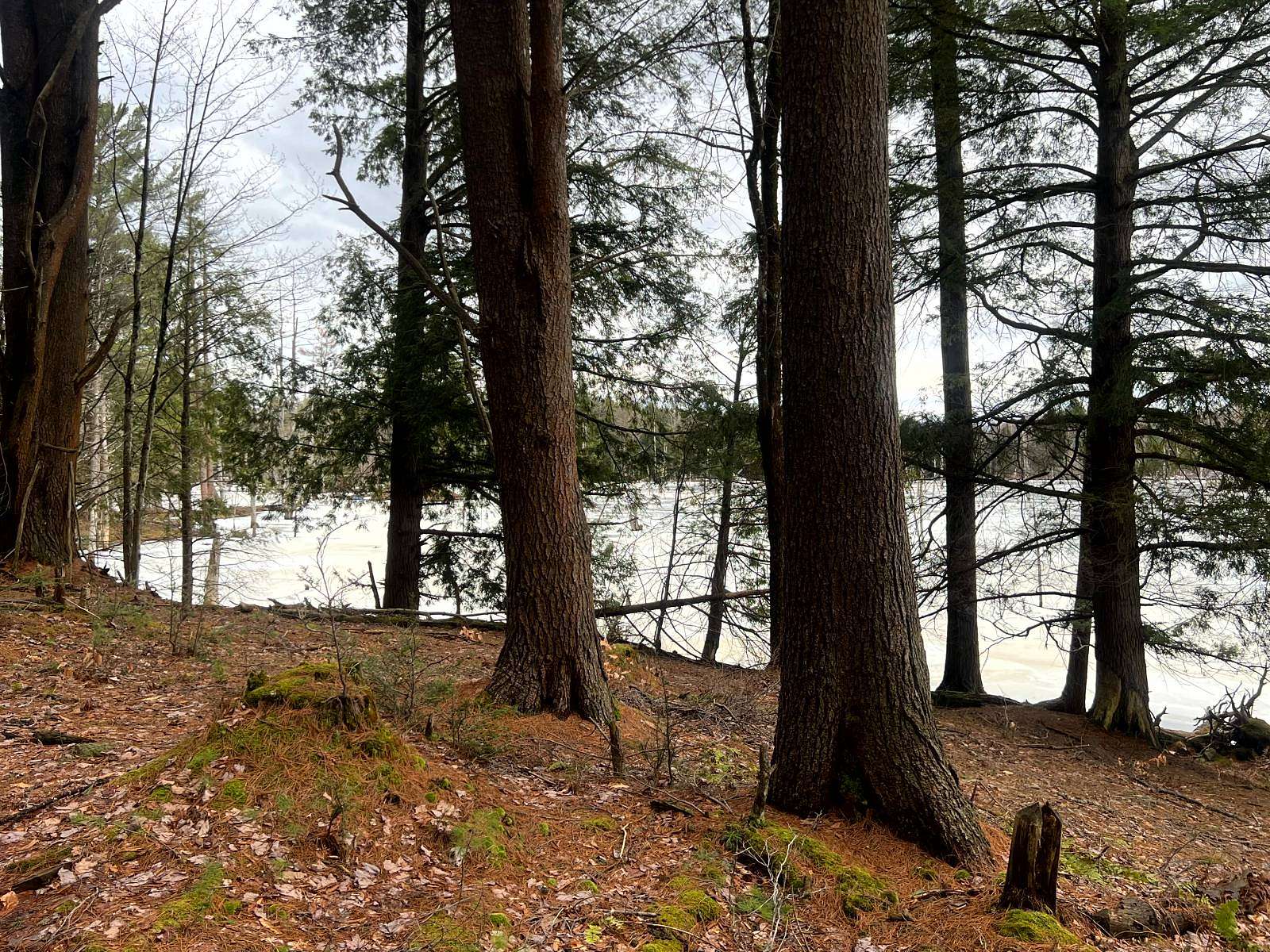 10 Acres of Recreational & Residential Land for Sale in Camden, New York