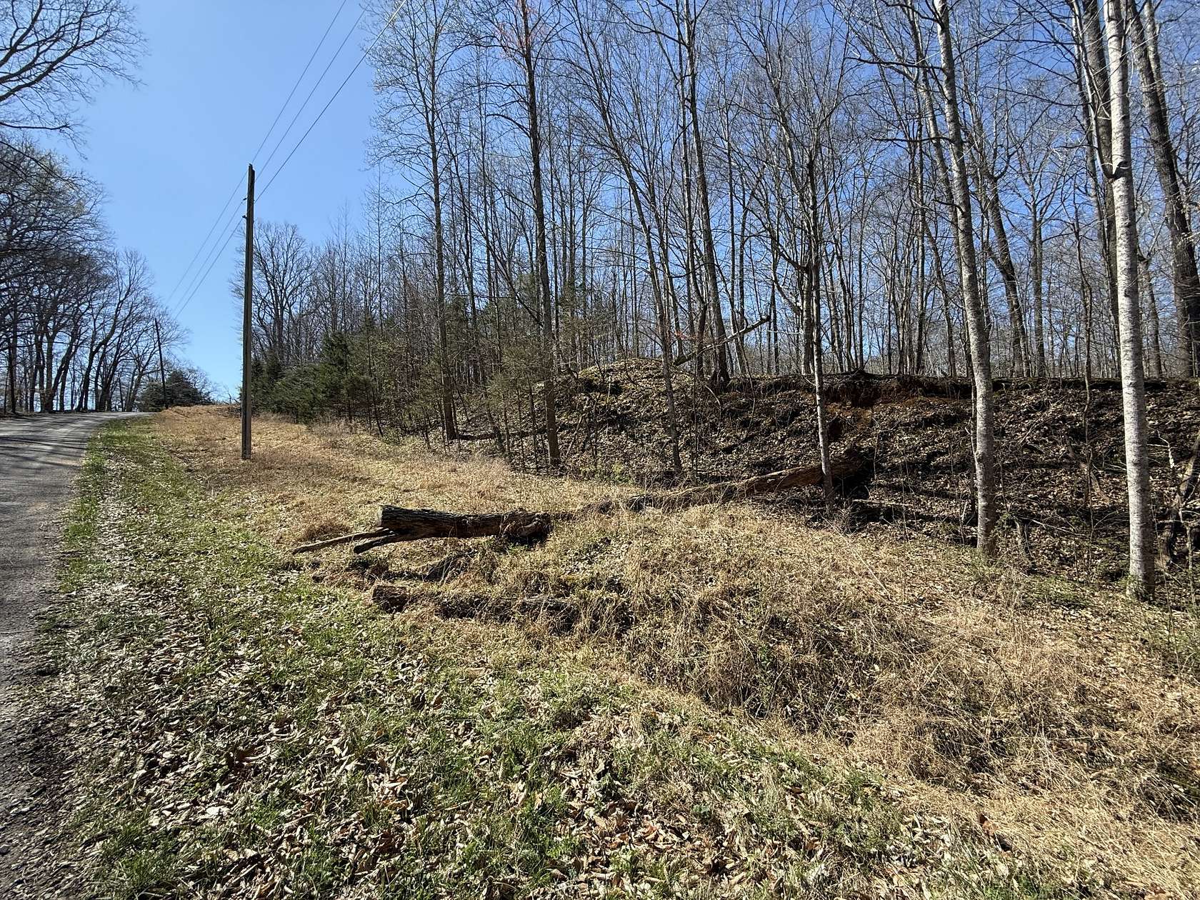 15 Acres of Land for Sale in Erin, Tennessee