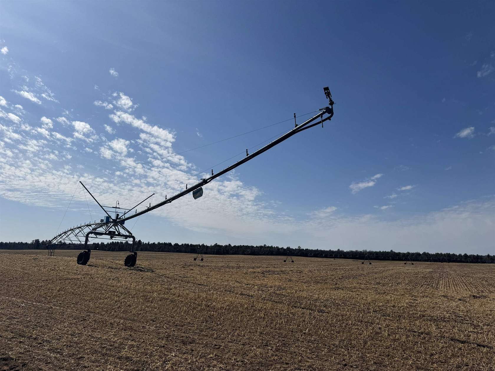 282 Acres of Agricultural Land for Auction in Arkdale, Wisconsin