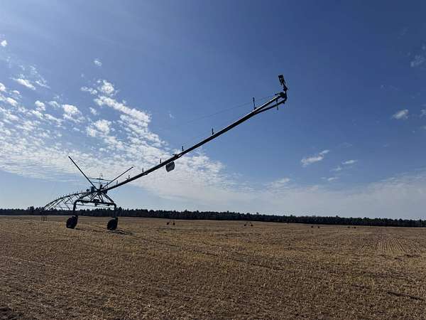 282 Acres of Agricultural Land for Auction in Arkdale, Wisconsin