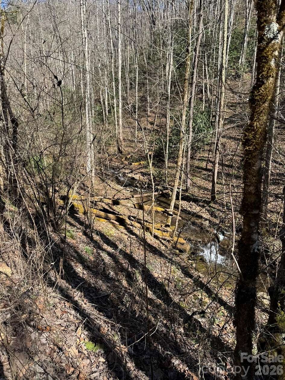 152 Acres of Land for Sale in Sylva, North Carolina
