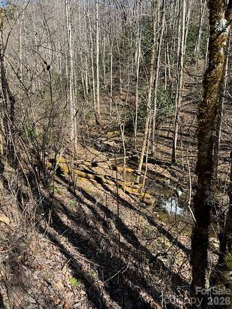 152 Acres of Land for Sale in Sylva, North Carolina