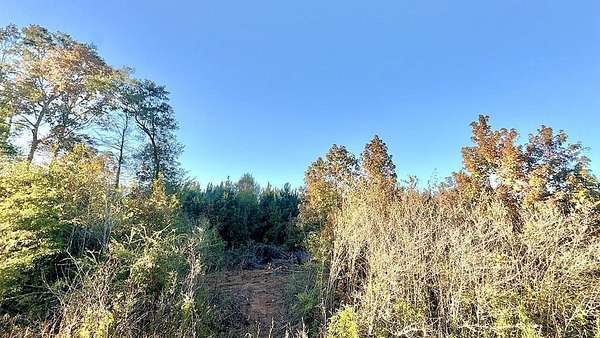 15 Acres of Recreational & Residential Land for Sale in Hemphill, Texas