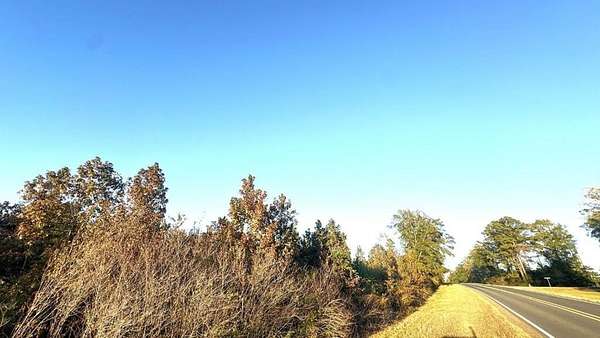 15 Acres of Recreational & Residential Land for Sale in Hemphill, Texas
