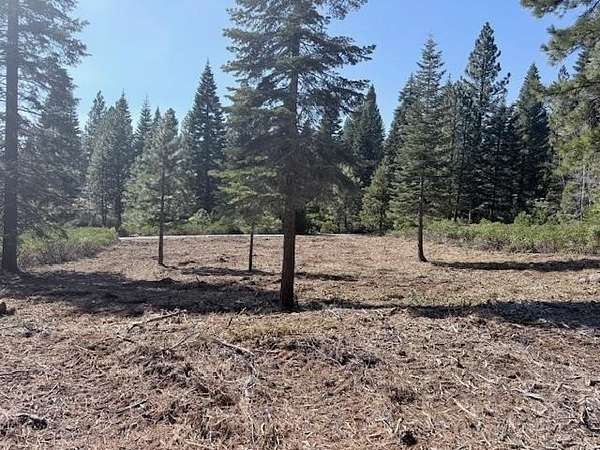 0.25 Acres of Residential Land for Sale in Lake Almanor Peninsula, California