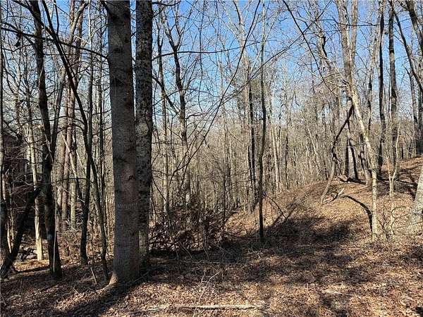 0.57 Acres of Residential Land for Sale in Dahlonega, Georgia