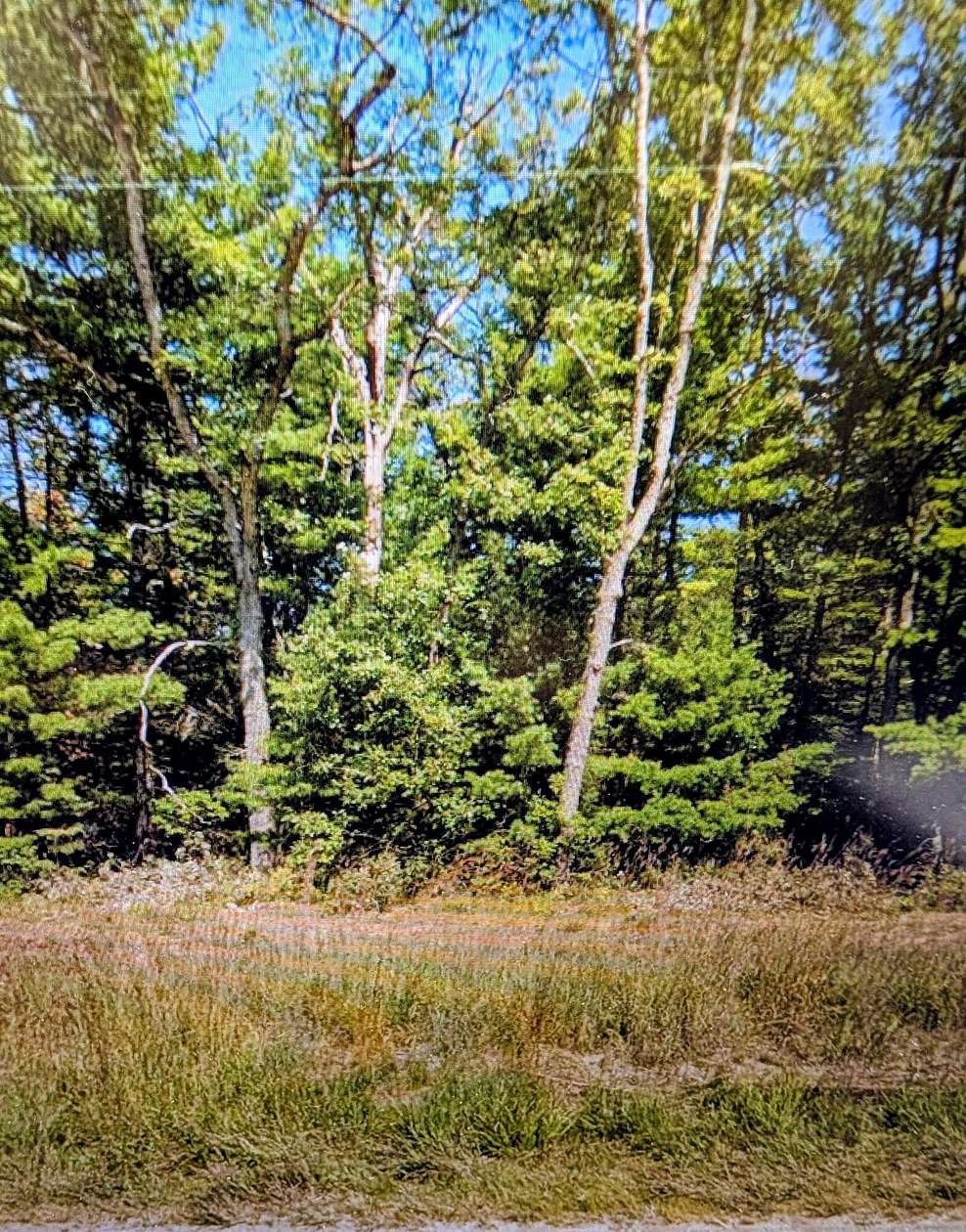 9 Acres of Residential Land for Sale in Idlewild, Michigan