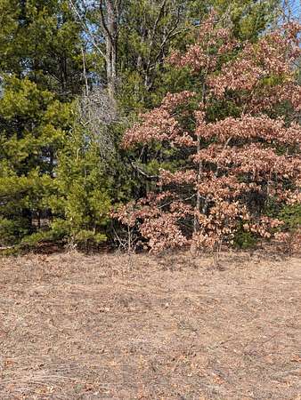 9 Acres of Residential Land for Sale in Idlewild, Michigan