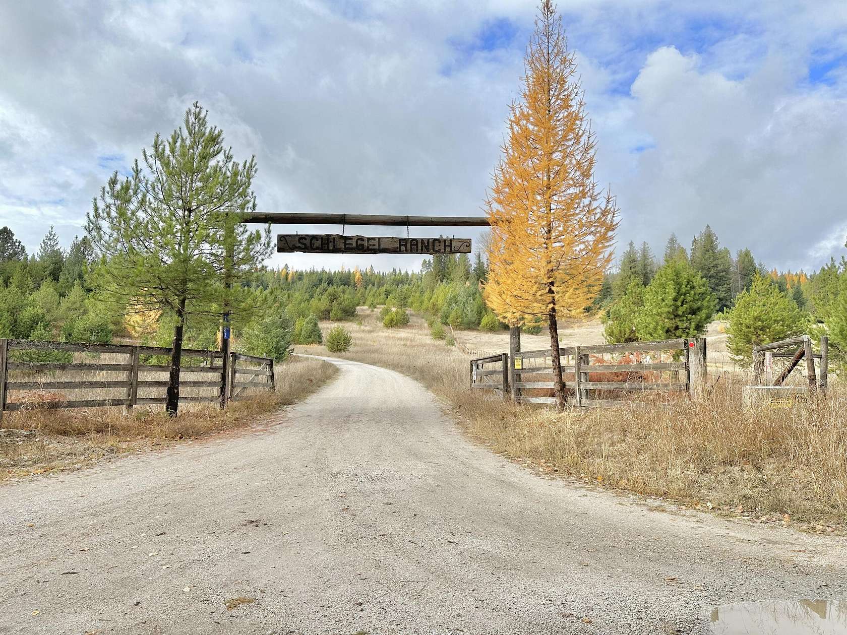 40 Acres of Recreational & Residential Land for Sale in Ione, Washington