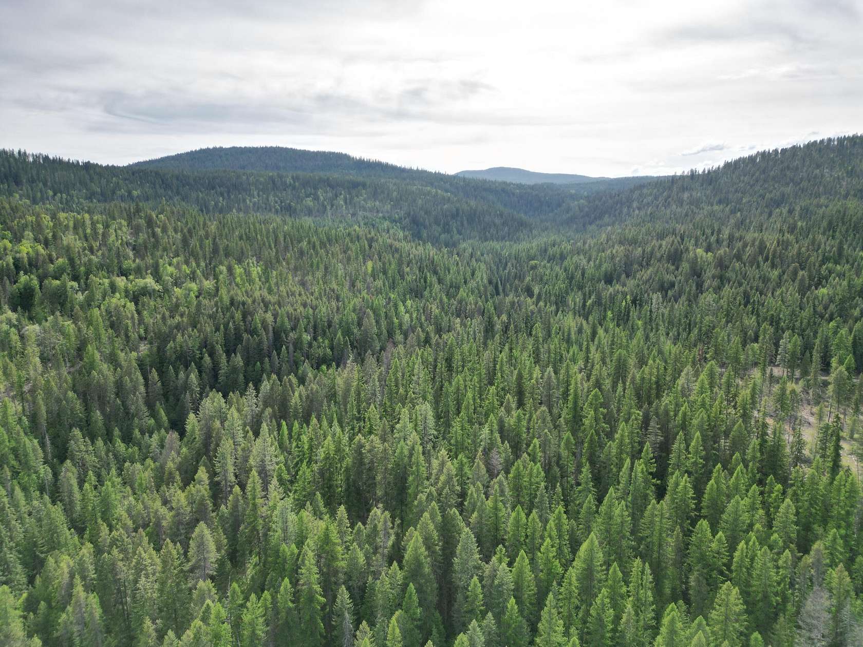 40 Acres of Recreational & Residential Land for Sale in Ione, Washington