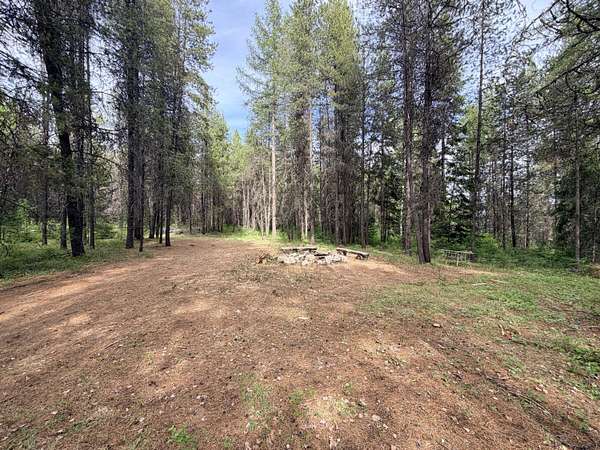 40 Acres of Recreational & Residential Land for Sale in Ione, Washington