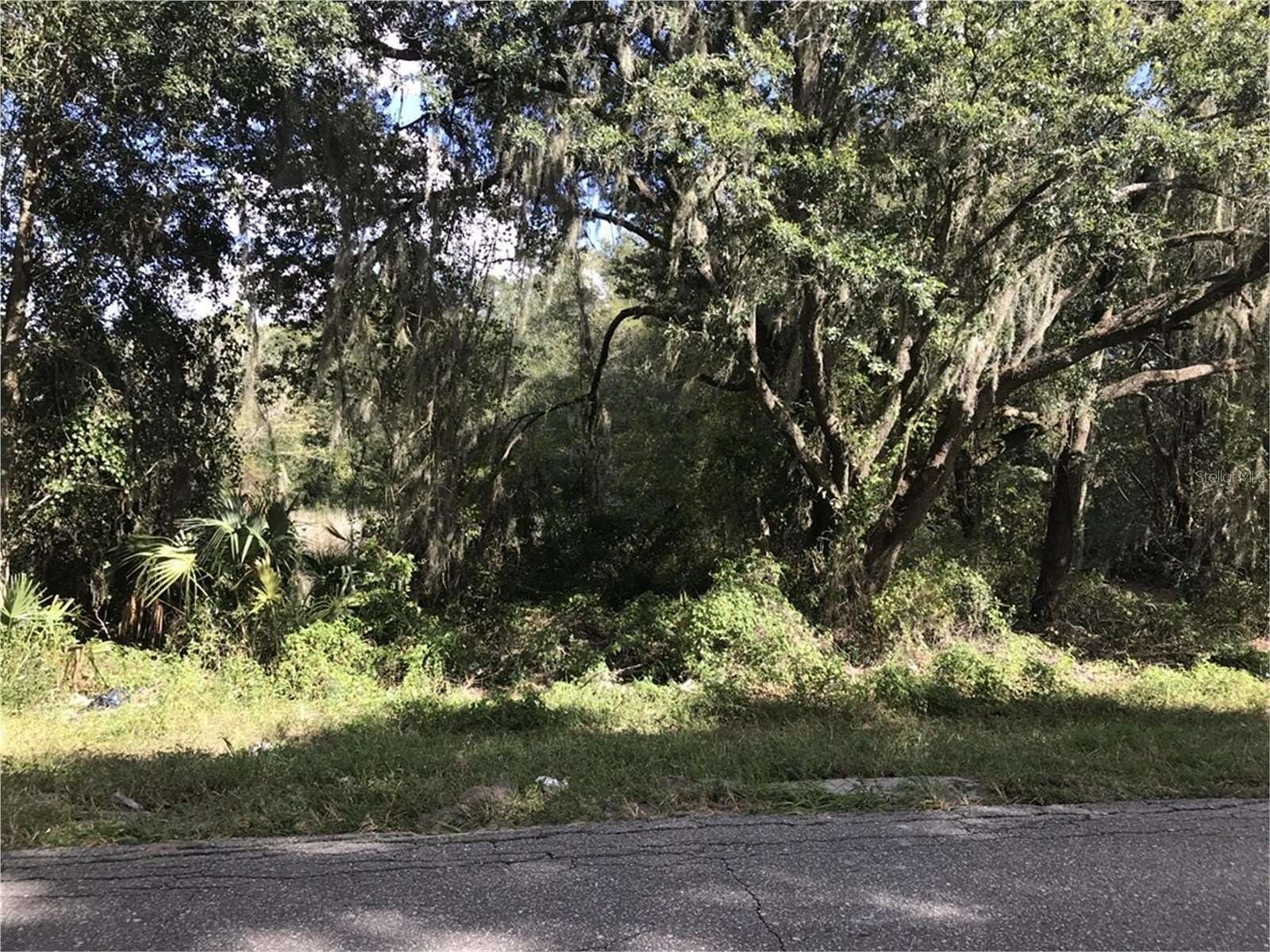 1 Acre of Residential Land for Sale in Wildwood, Florida