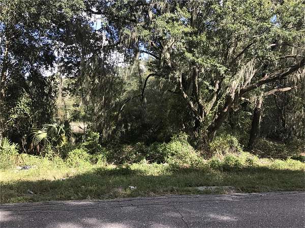 1 Acre of Residential Land for Sale in Wildwood, Florida
