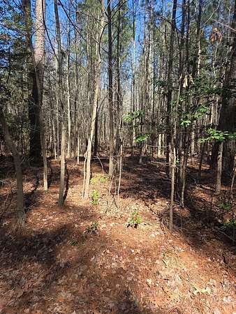 3.39 Acres of Residential Land for Sale in Onancock, Virginia