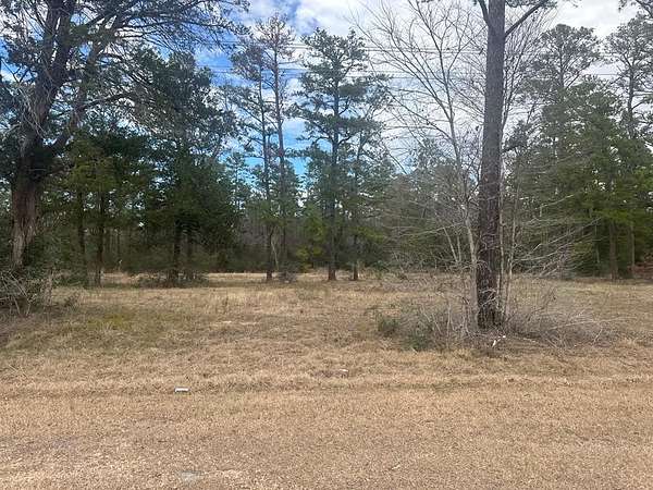 3.73 Acres of Commercial Land for Sale in Apple Springs, Texas