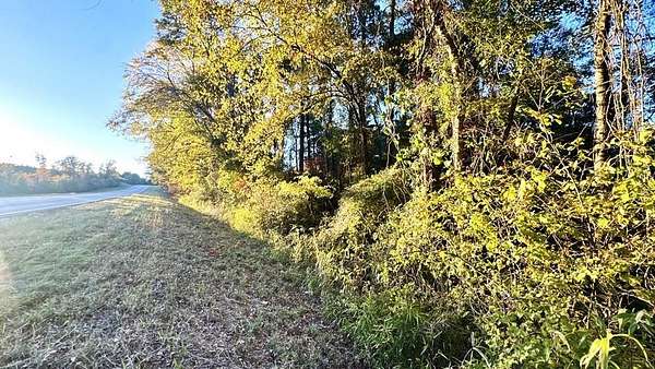 15 Acres of Recreational & Residential Land for Sale in Hemphill, Texas