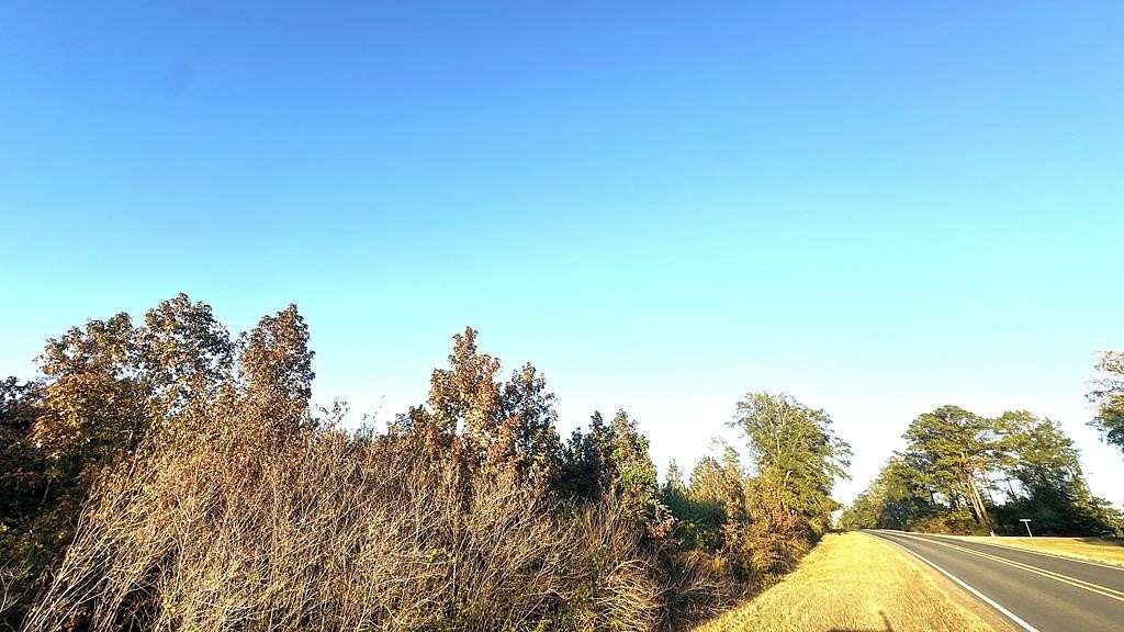 15 Acres of Recreational & Residential Land for Sale in Hemphill, Texas