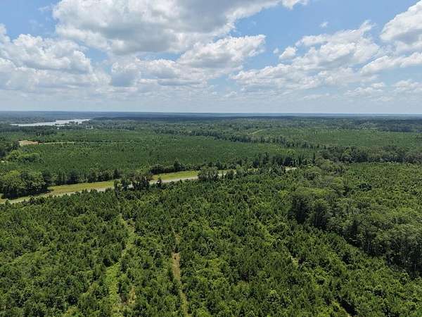 15 Acres of Recreational & Residential Land for Sale in Hemphill, Texas