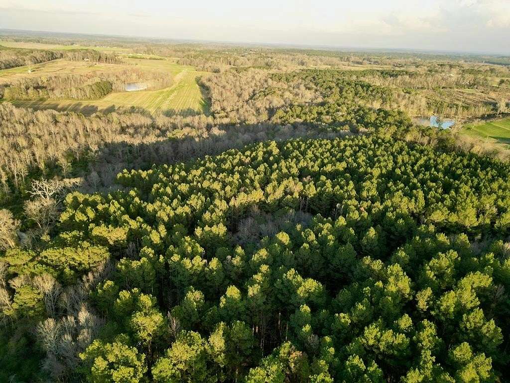 139 Acres of Recreational & Residential Land for Sale in Glenwood, Alabama