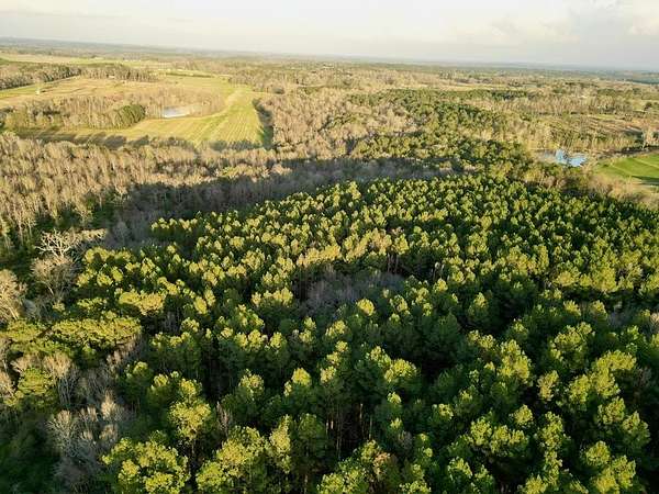 139 Acres of Recreational & Residential Land for Sale in Glenwood, Alabama