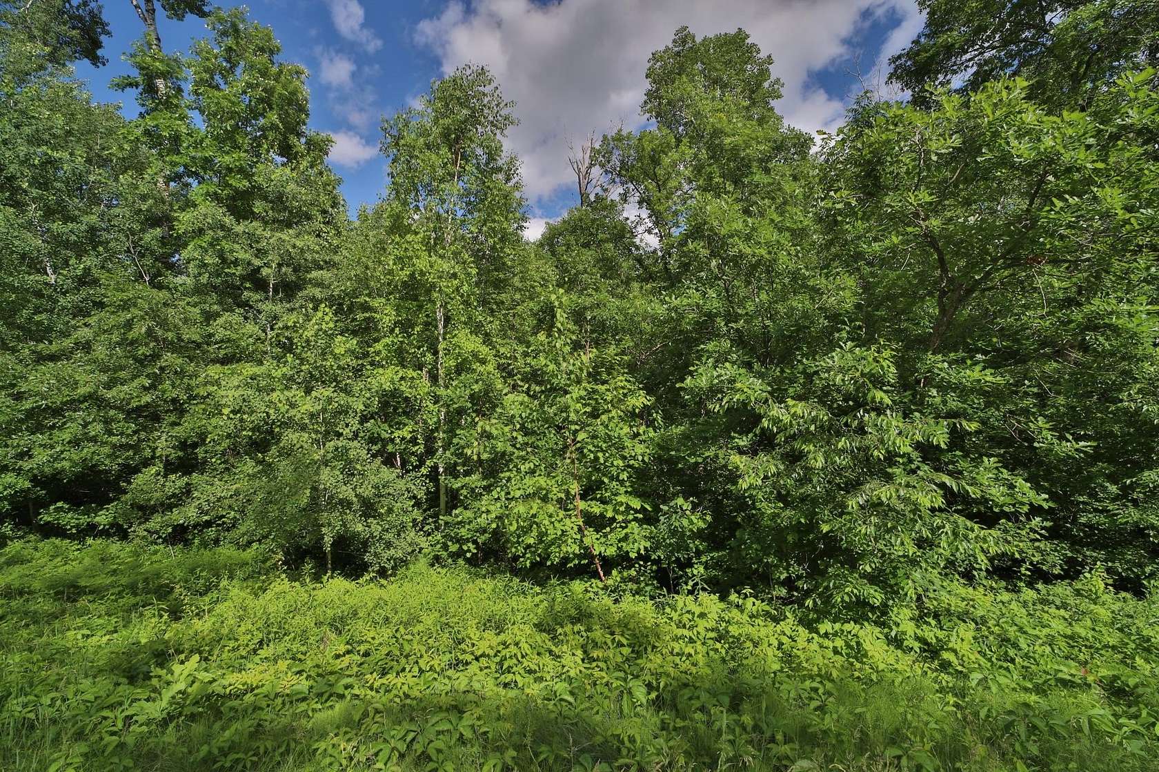 1 Acre of Residential Land for Sale in Breezy Point, Minnesota