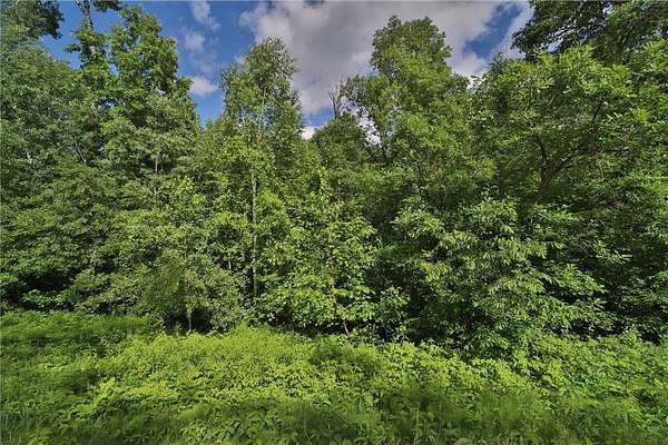 1 Acre of Residential Land for Sale in Breezy Point, Minnesota