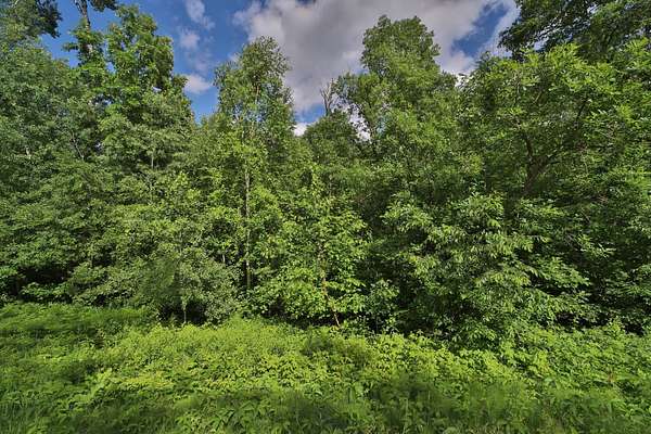 1 Acre of Residential Land for Sale in Breezy Point, Minnesota