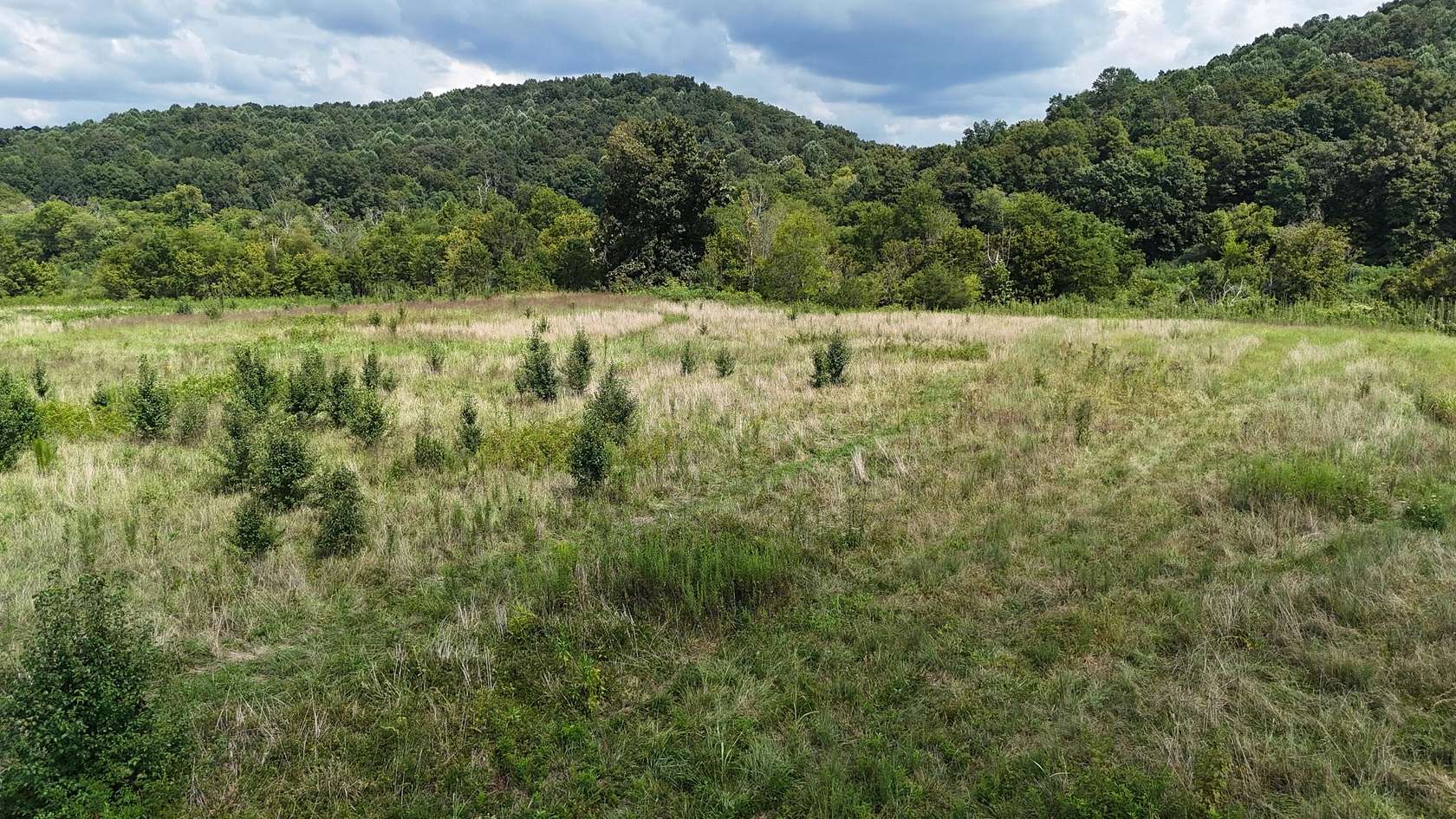 17.5 Acres of Recreational & Residential Land for Sale in Riceville, Tennessee