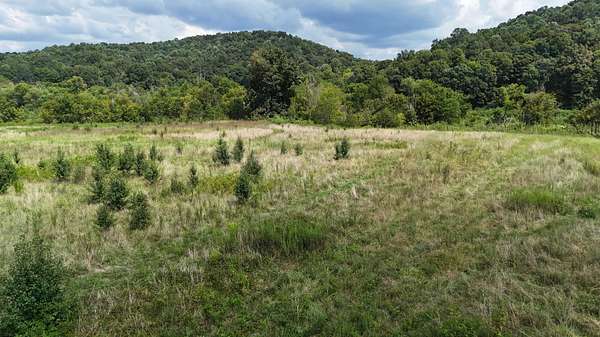 17.5 Acres of Recreational & Residential Land for Sale in Riceville, Tennessee