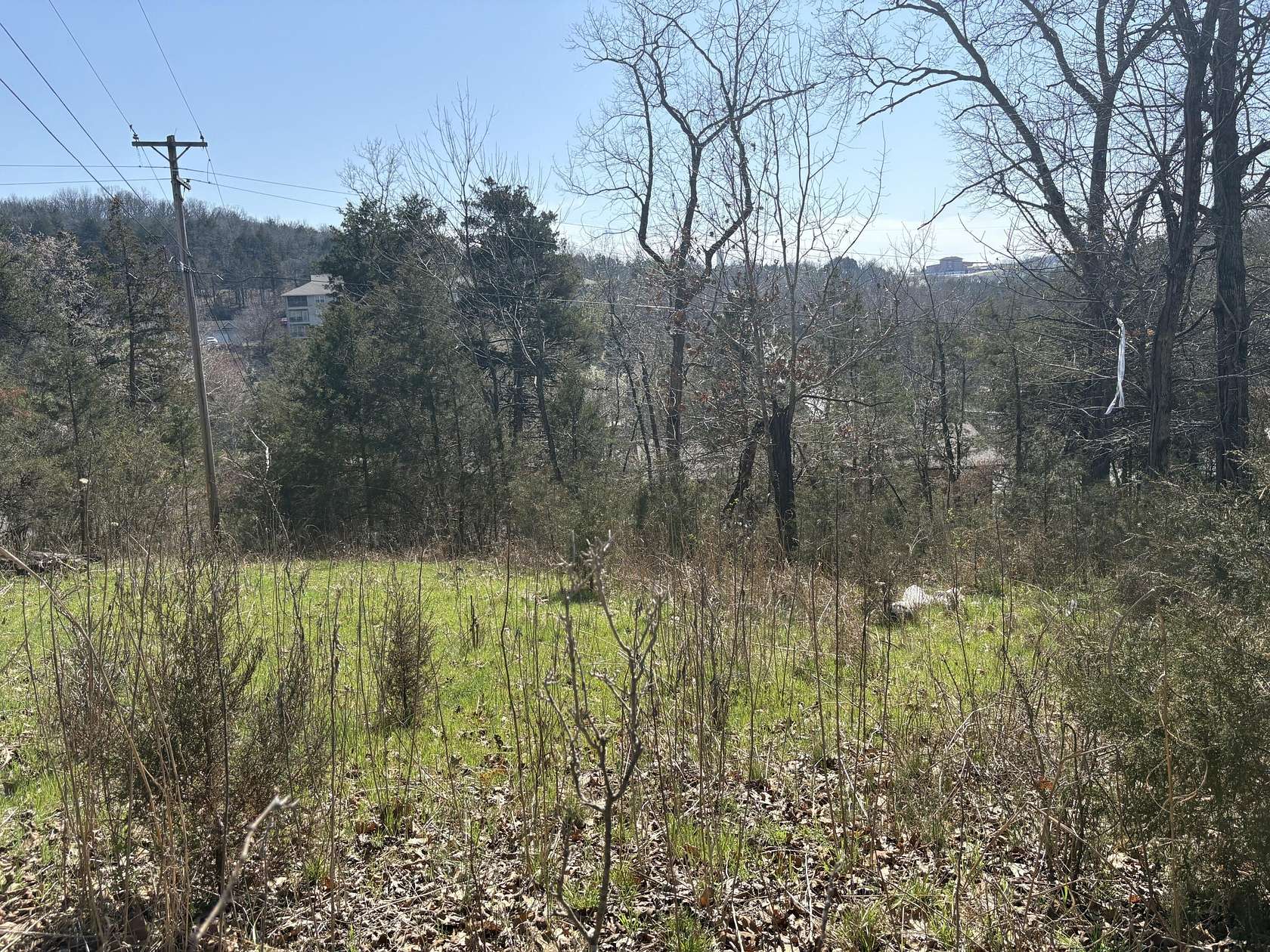 0.41 Acres of Land for Sale in Branson, Missouri