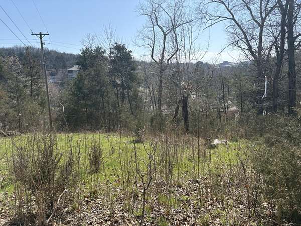 0.41 Acres of Land for Sale in Branson, Missouri