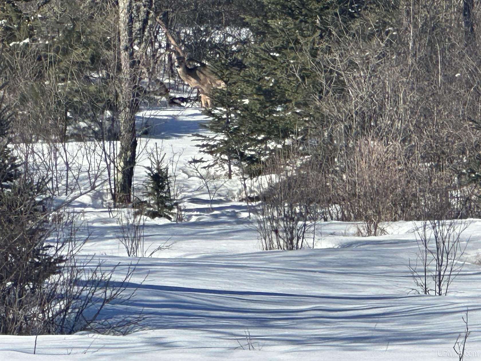 10 Acres of Recreational & Residential Land for Sale in Crystal Falls, Michigan