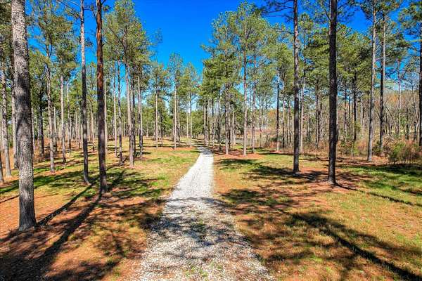 24.1 Acres of Land for Sale in Appling, Georgia