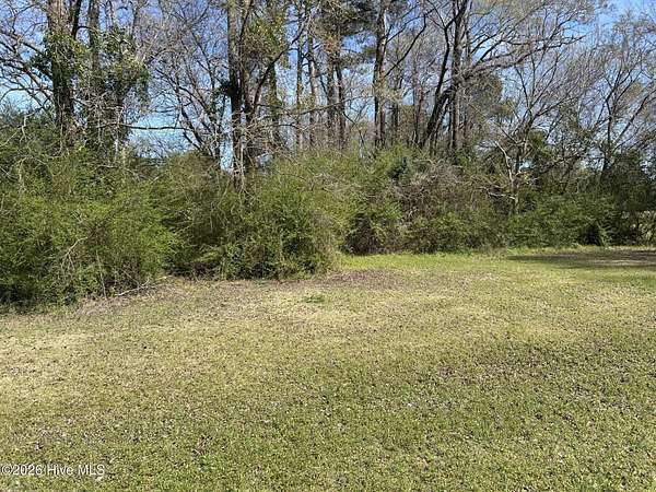 0.48 Acres of Residential Land for Sale in Willard, North Carolina